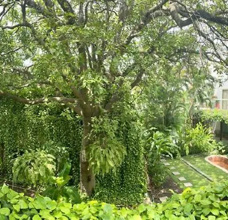 Apartamento Modern Comfort - Spacious 2br In Walled
