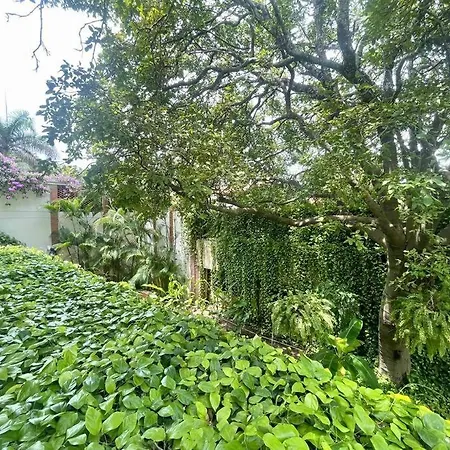 Modern Comfort - Spacious 2br In Walled