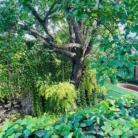 Modern Comfort - Spacious 2br In Walled Apartamento