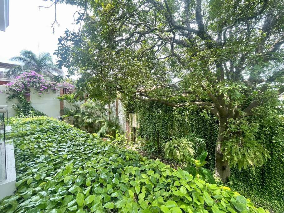 Modern Comfort - Spacious 2br In Walled