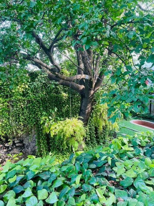 Modern Comfort - Spacious 2br In Walled Apartment